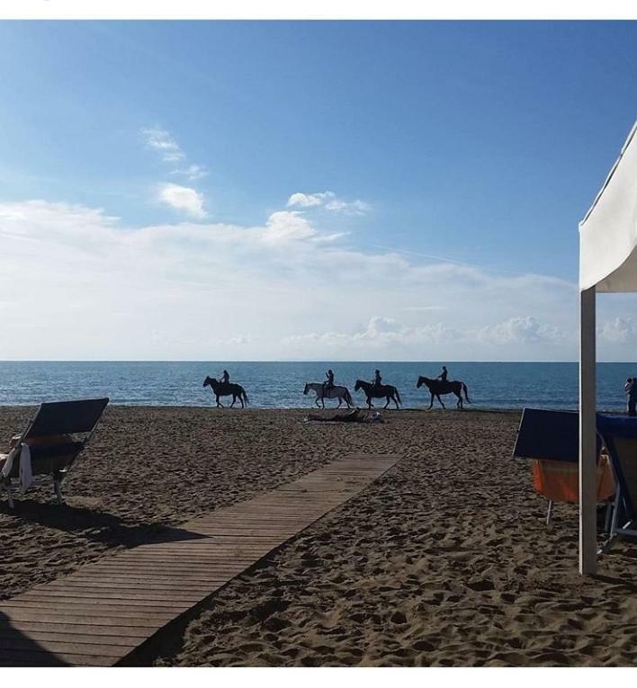 Torre Rossa Apartment Bolgheri Luaran gambar