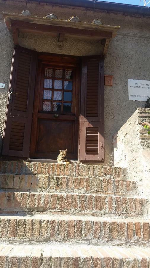 Torre Rossa Apartment Bolgheri Luaran gambar
